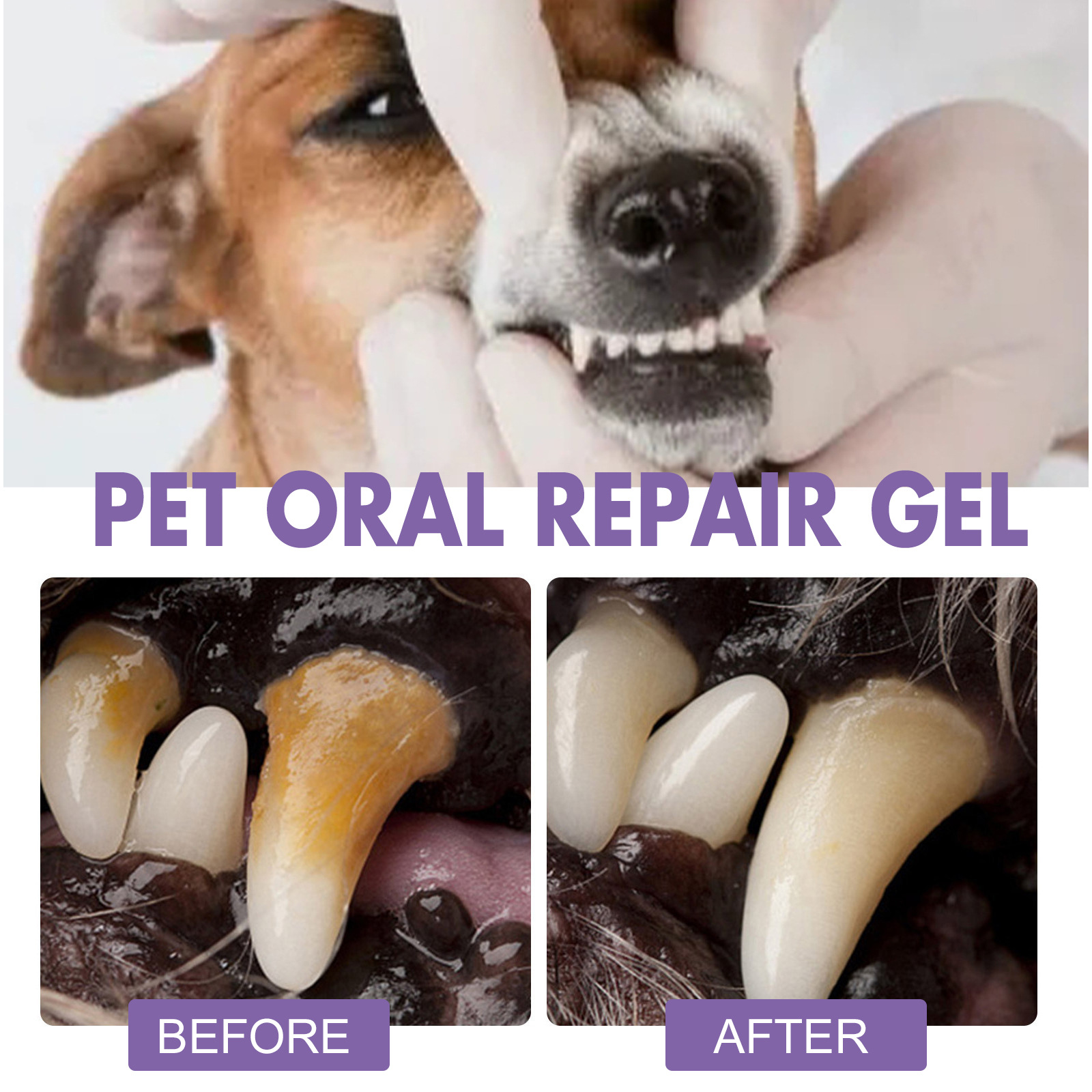 ペット口腔修復ジェル子犬歯石除去消臭剤白くする猫犬歯ステイン - Teeth Whitening Near Me のレビューと価格